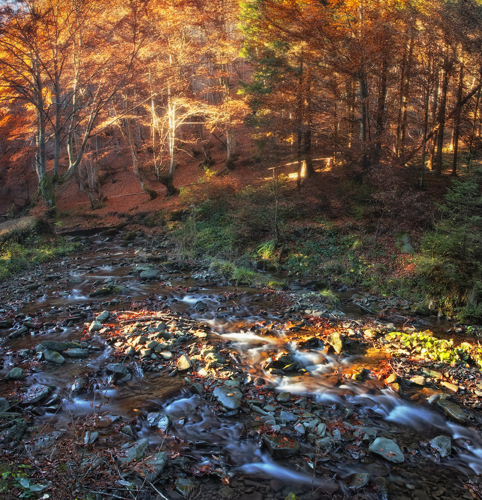 ......В золоте заката.........
