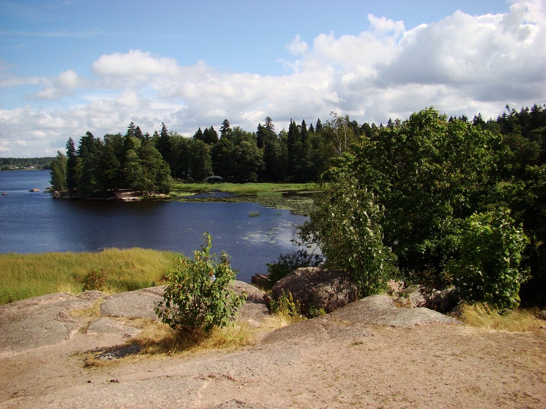 Летом 2010 года