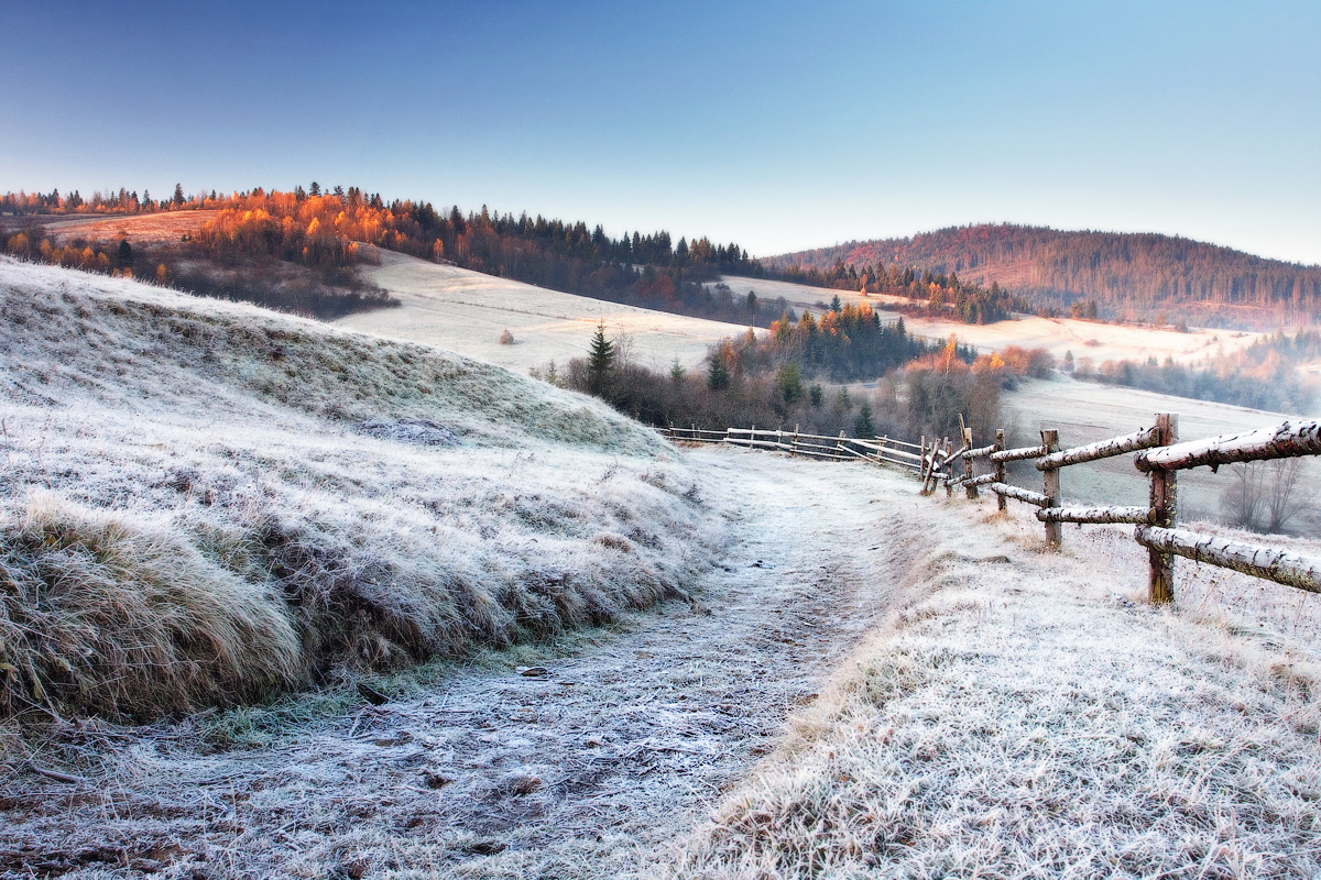 ........Утренняя зарисовка.........