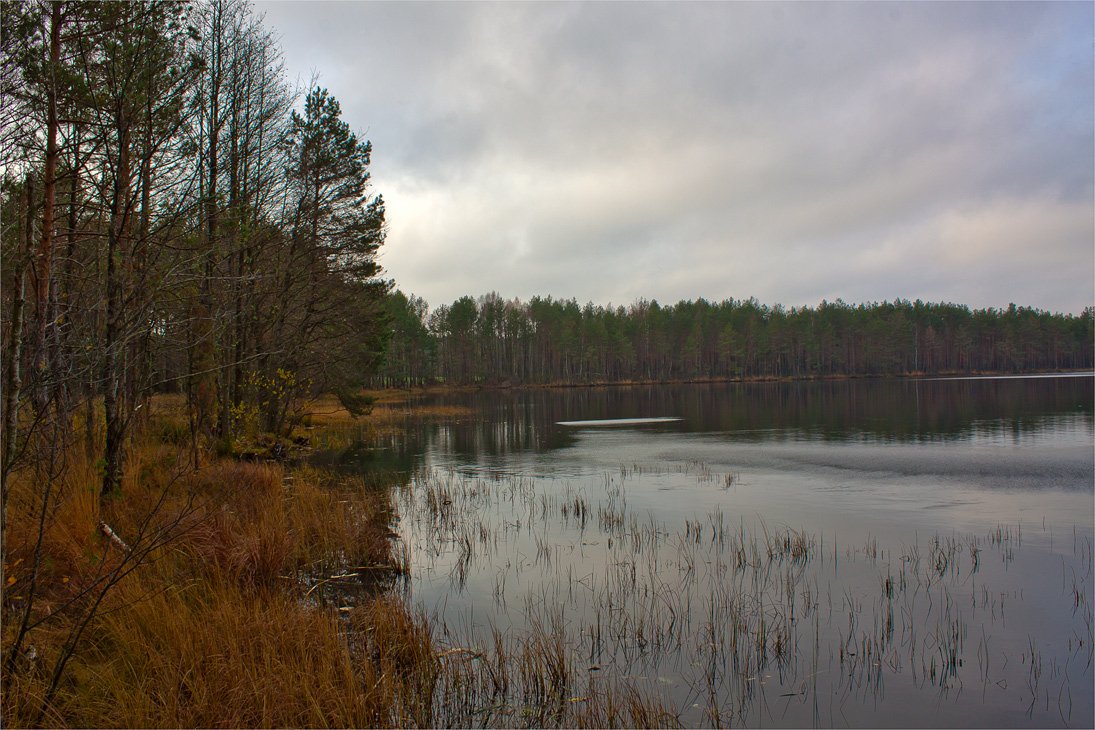 Осеннние этюды