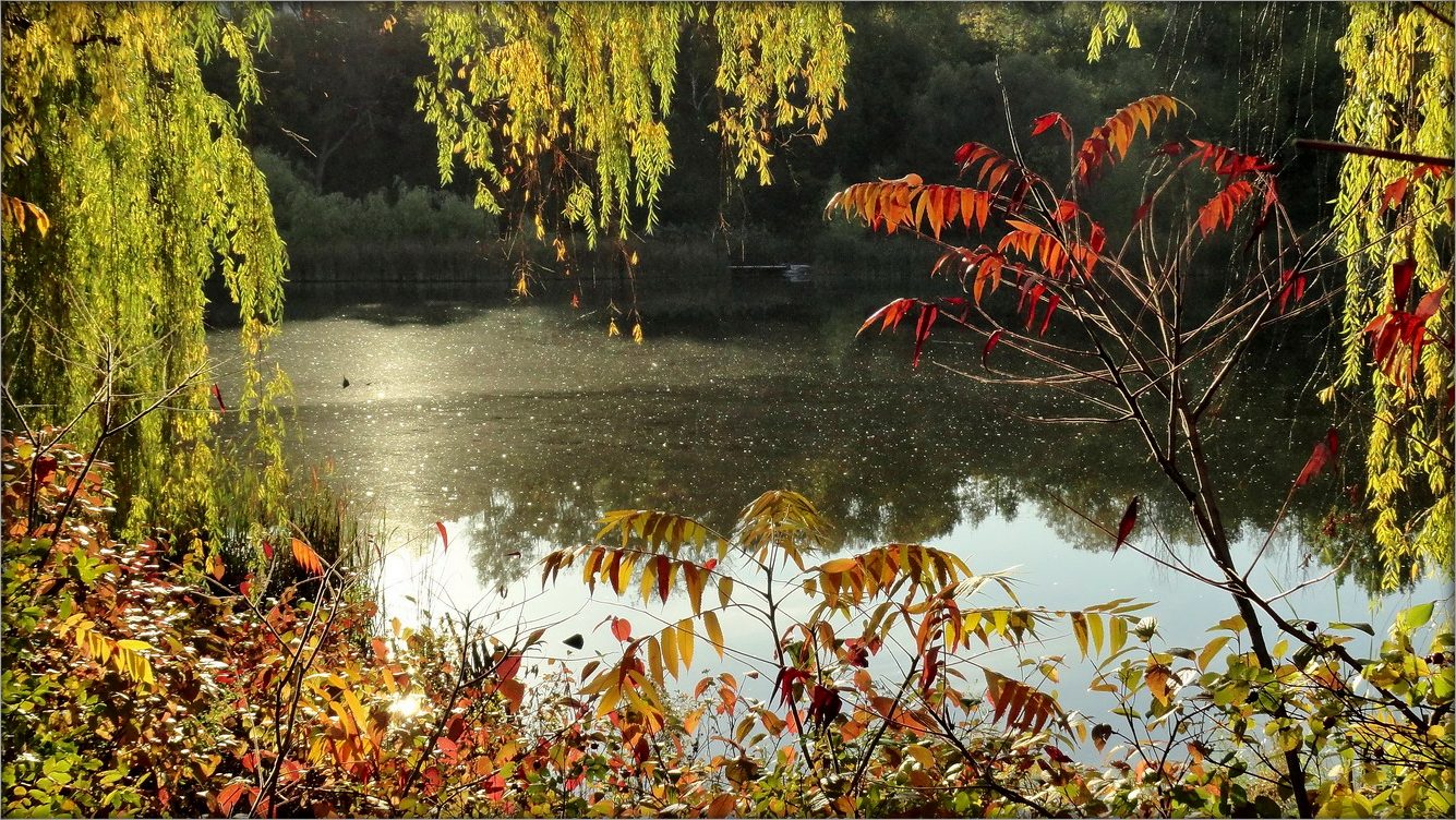 осенние мистерии