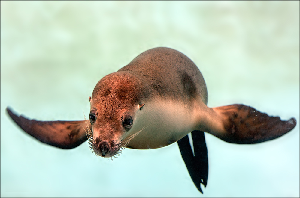 Взгляд оттуда