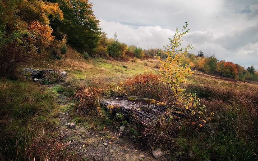 Высохший родник...