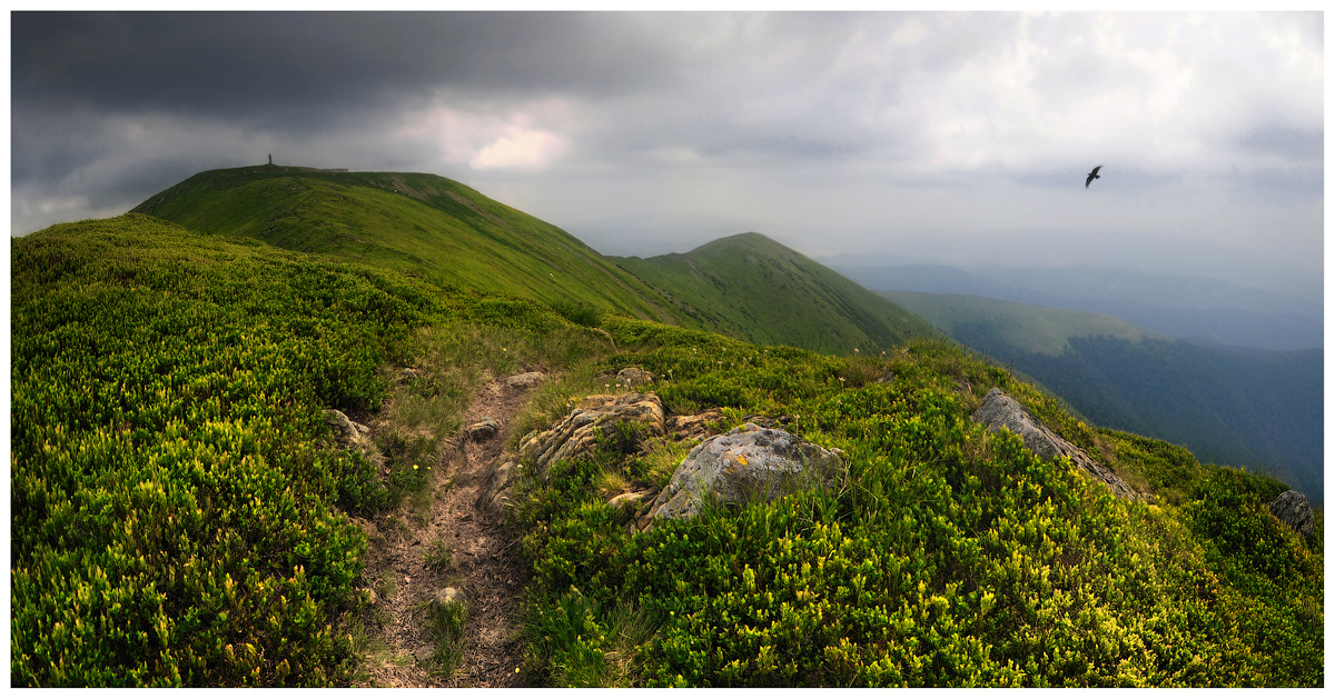 Хмурый Стой...