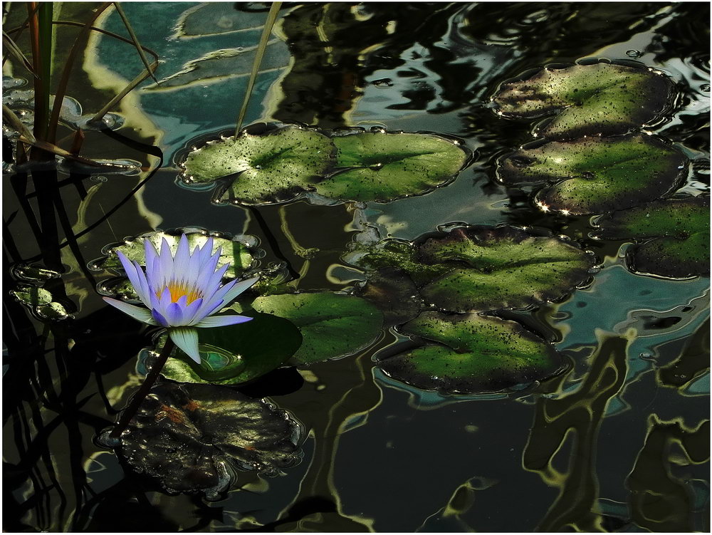 ТЯЖЁЛАЯ ВОДА