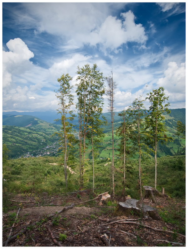 Последние из...