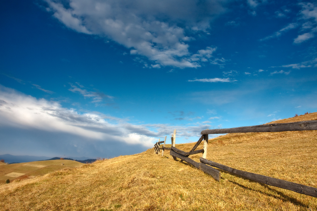 ..........Карпатская простая..........