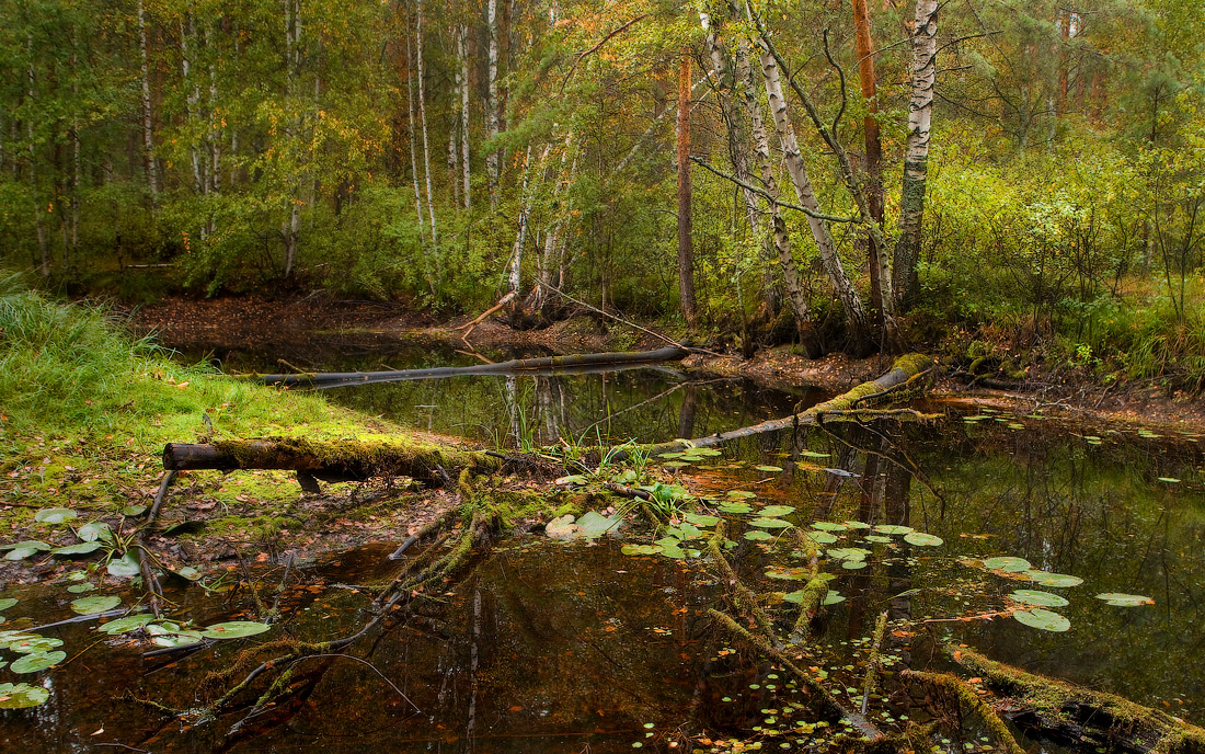 На исходе лета