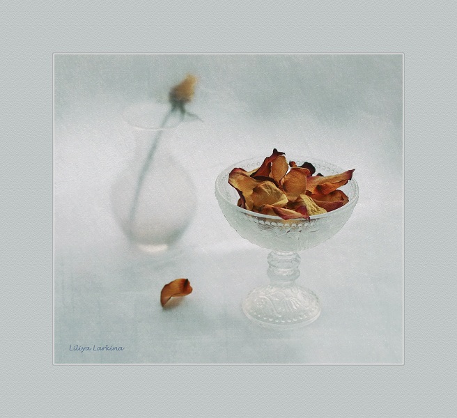 с лепестками роз