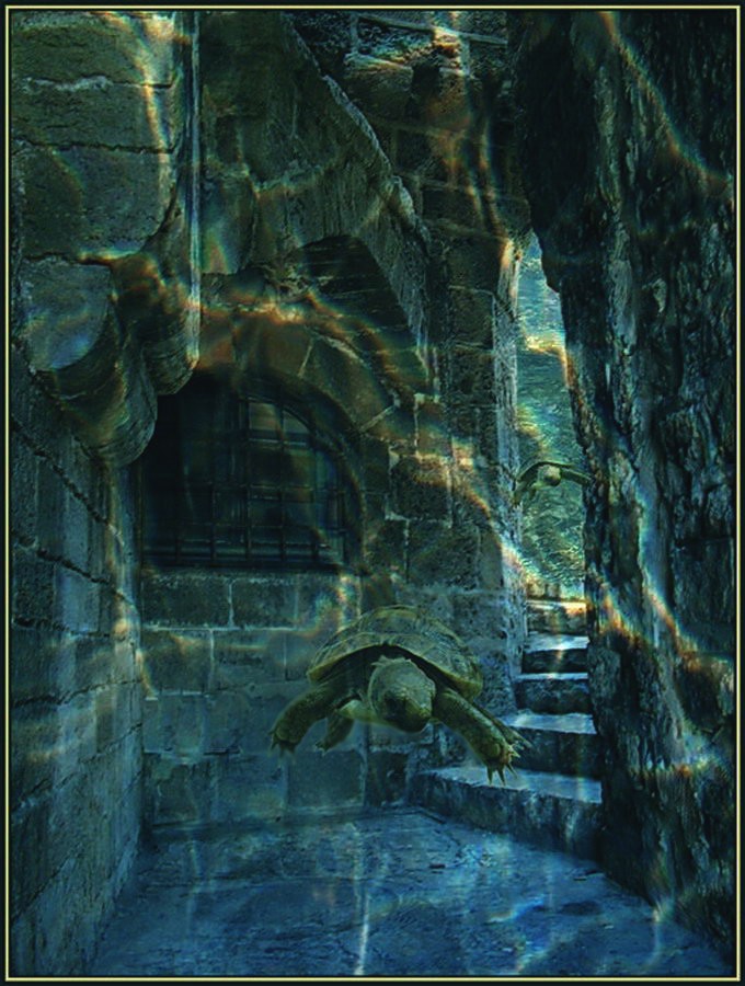 ПОДВОДНЫЙ МИР