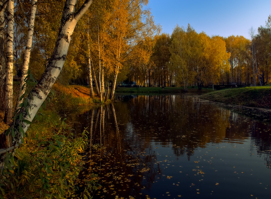 Ласковая осень