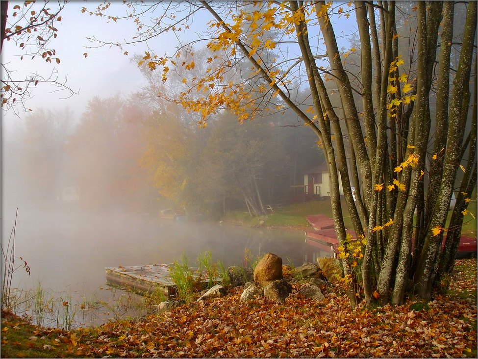 дачное, позднее...