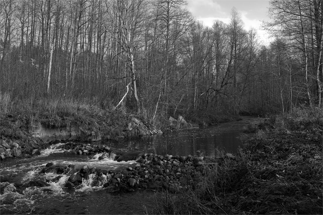 Быстрая река