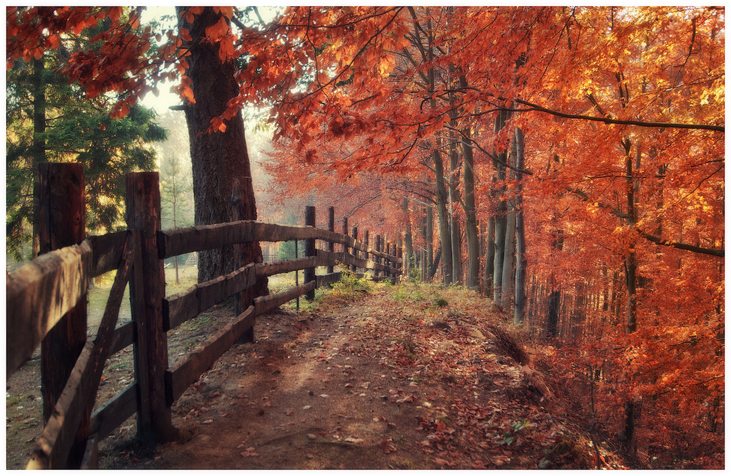 Граница для осени...