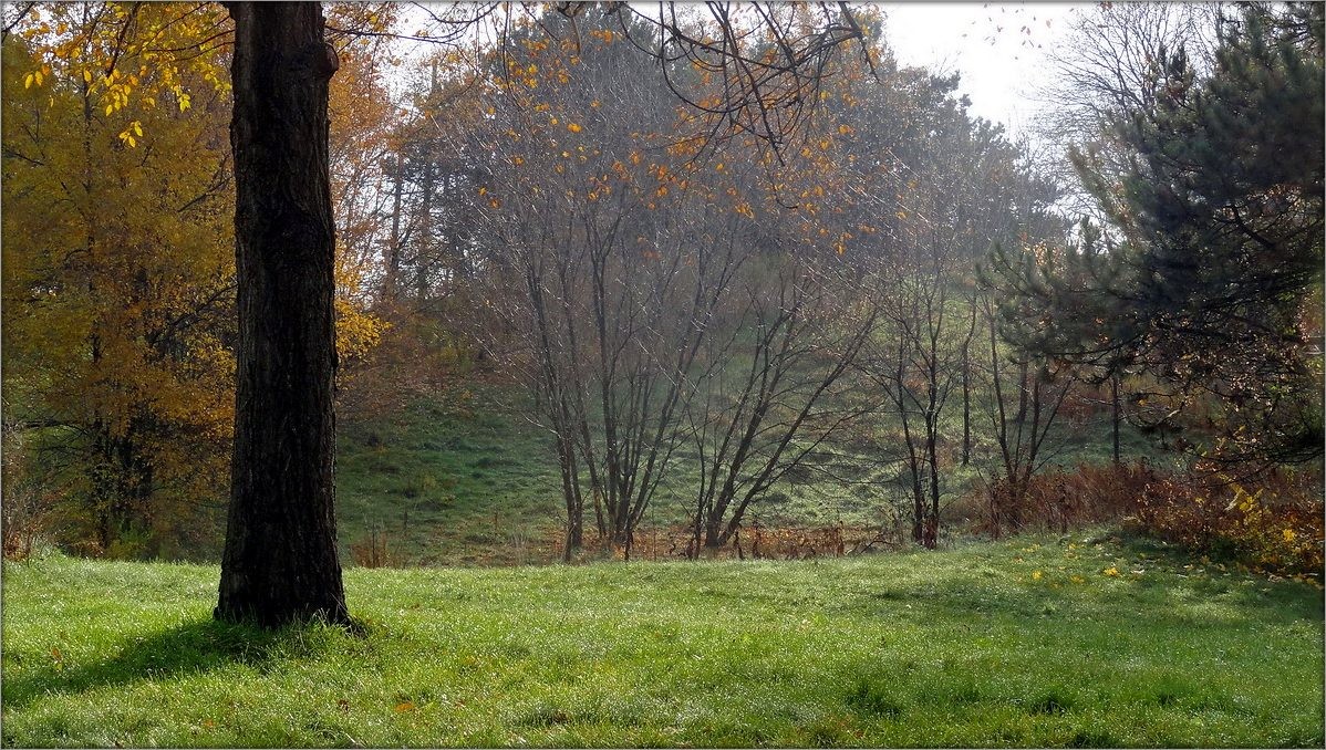 игры осеннего света