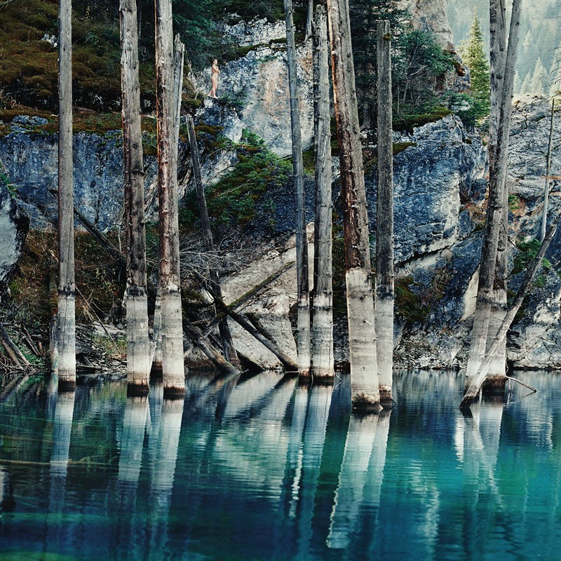 на фоне пейзажа