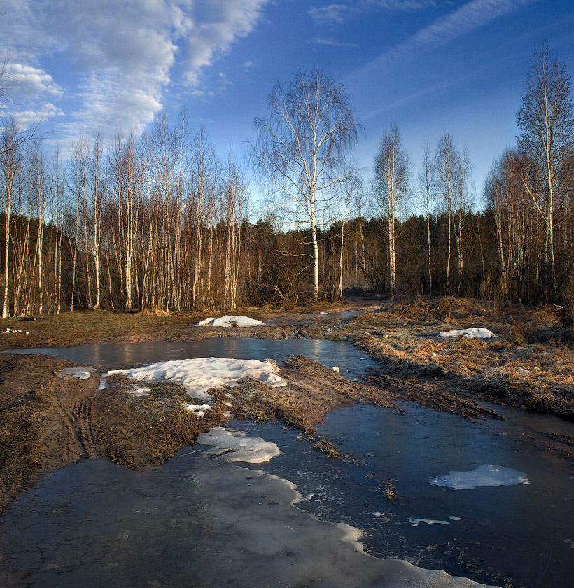Весенний сюжет (последний снег)