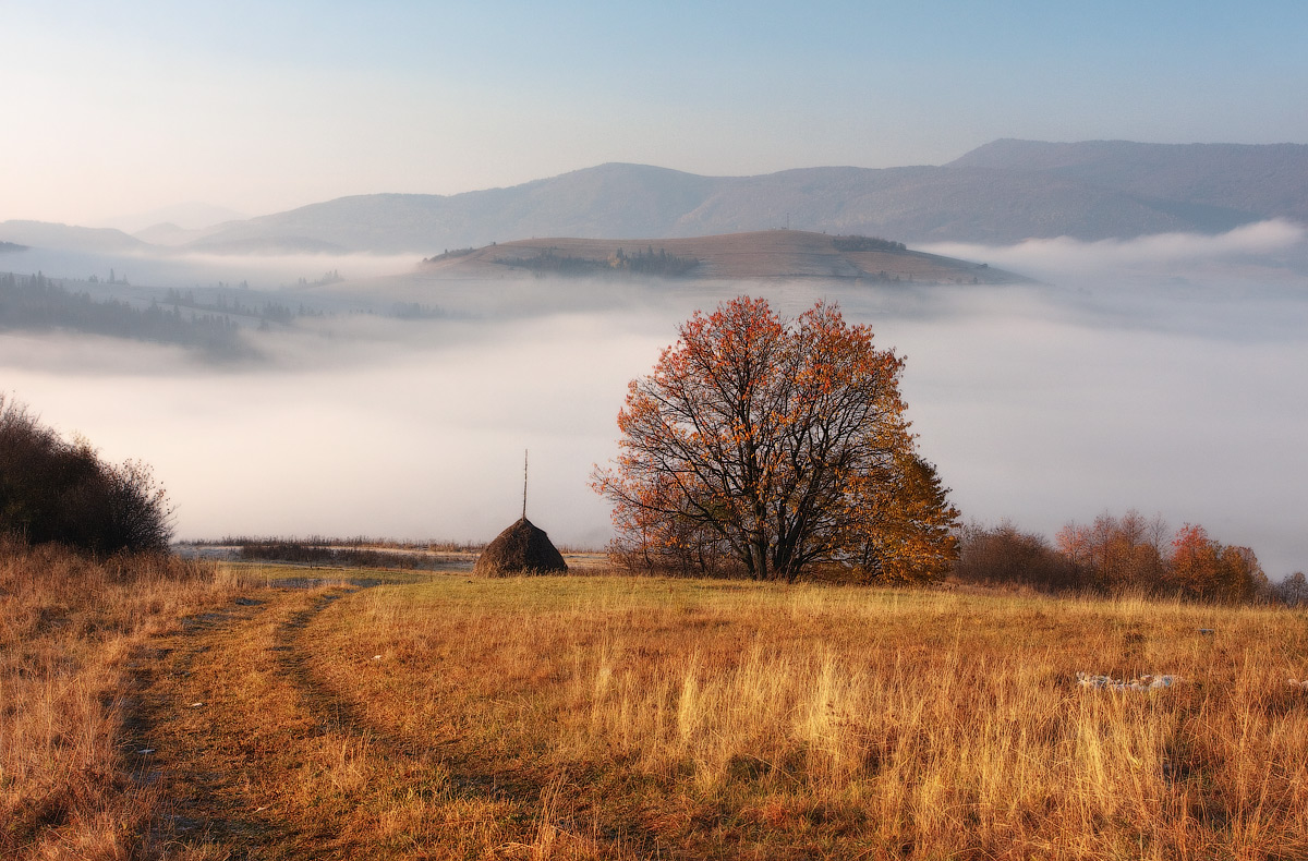 ..........Колыбель тумана.........