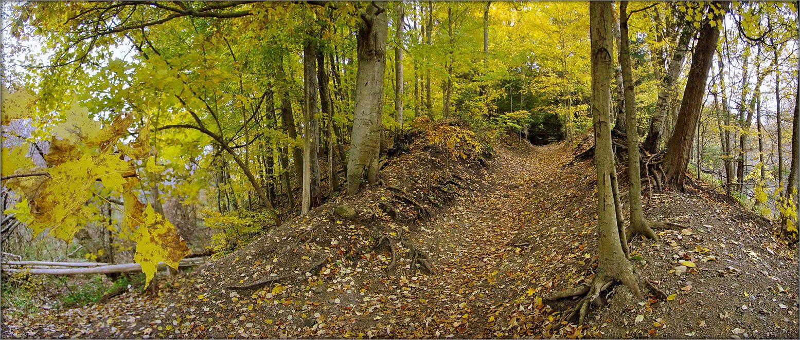 в парке Руж