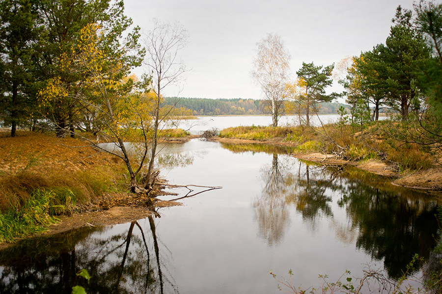 В и л е й с к и е _ з а т о к и