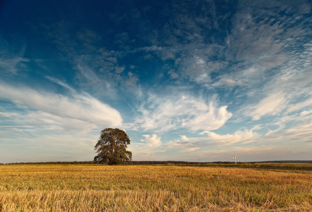 Август на вилейщине