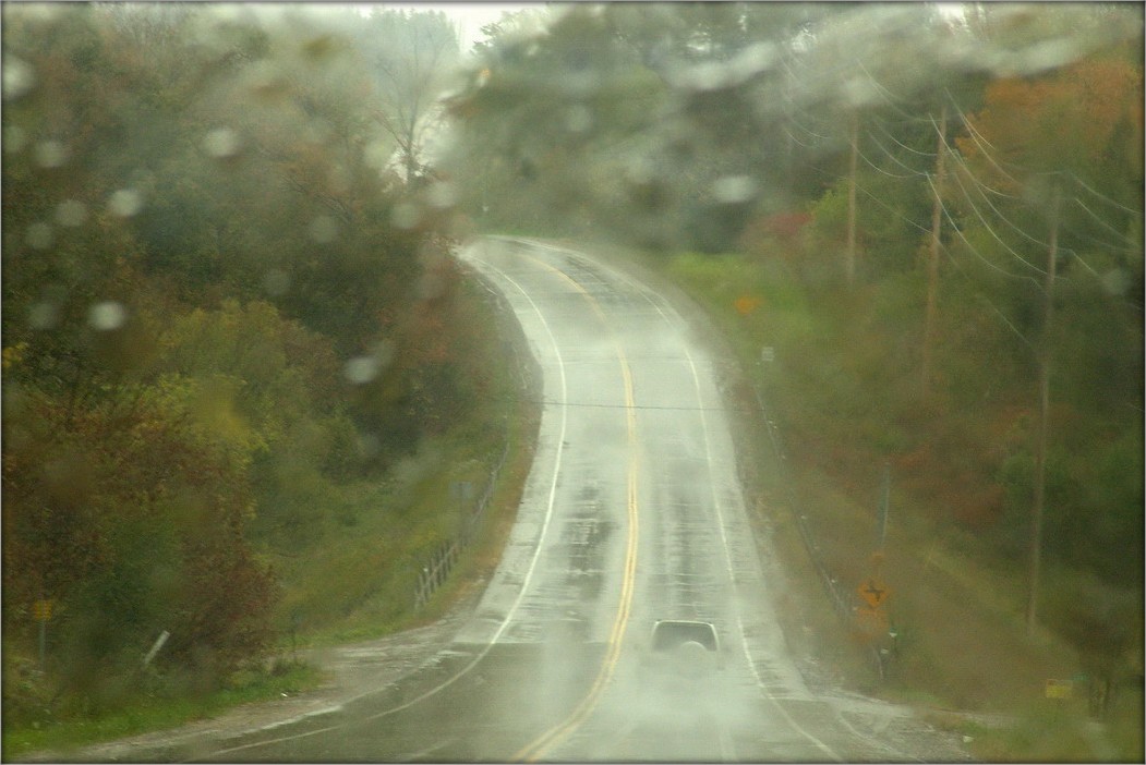 опять дожди...