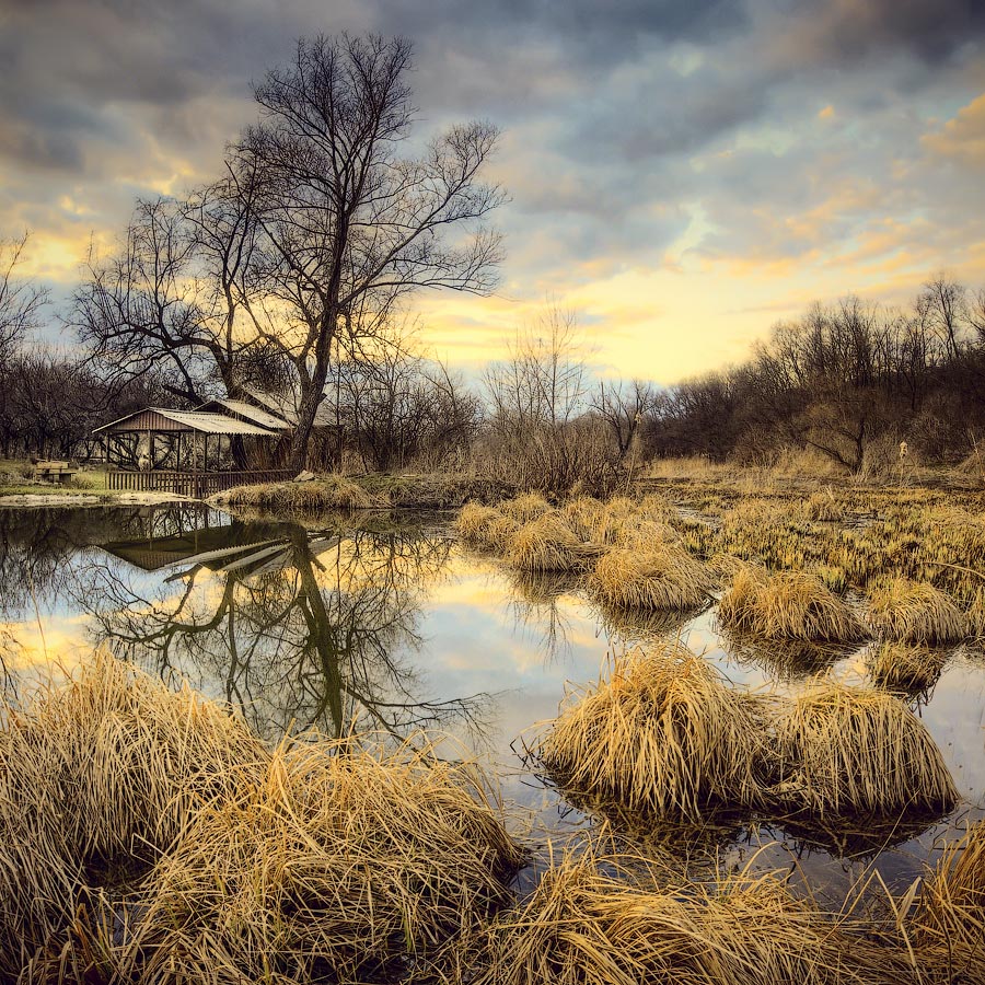 Японский мотив