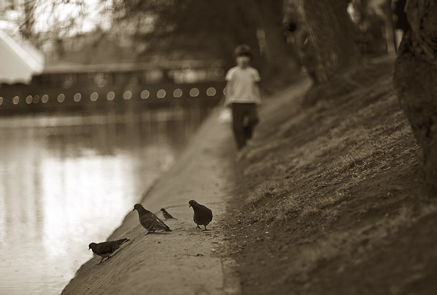 НА МОСКОВСКИХ ИЗОГНУТЫХ УЛИЦАХ