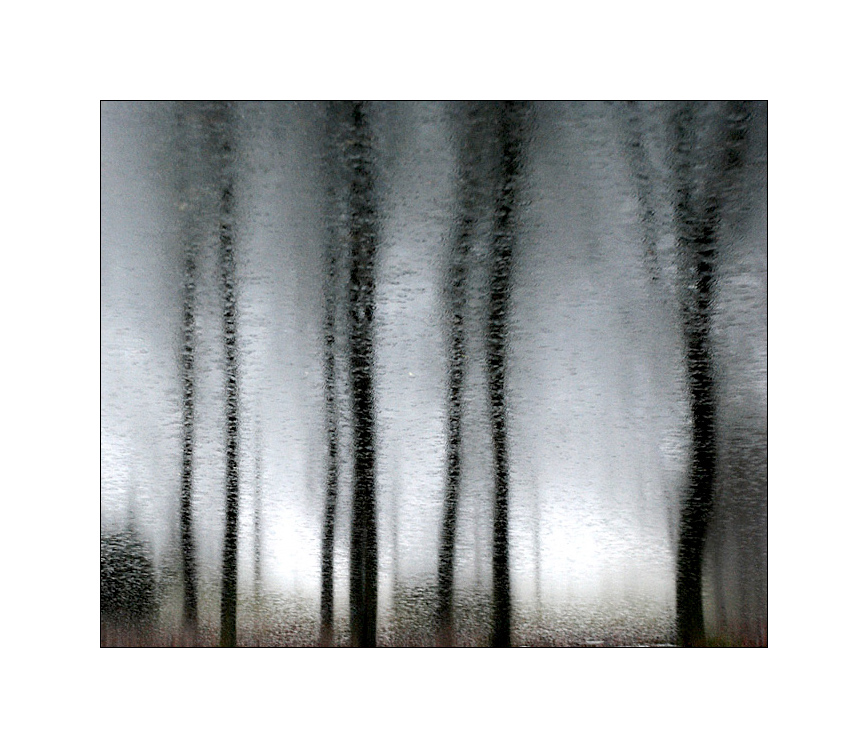 танго под дождем