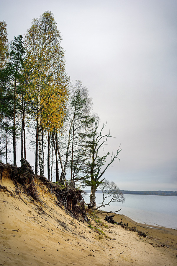 В и л е й с к о е _ о с е н ь