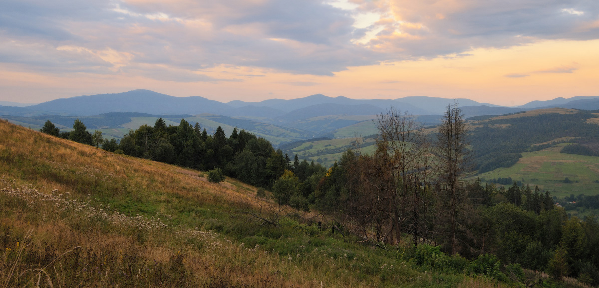 Тихий вечер...