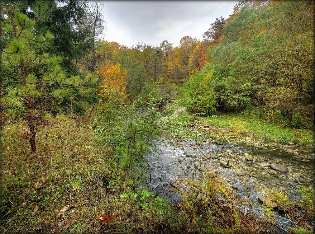сентябрьский бег Тэйлора