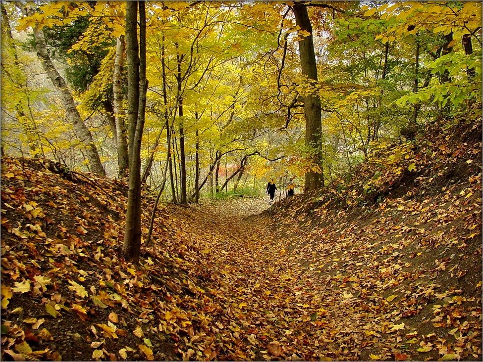 в парке Руж ..2