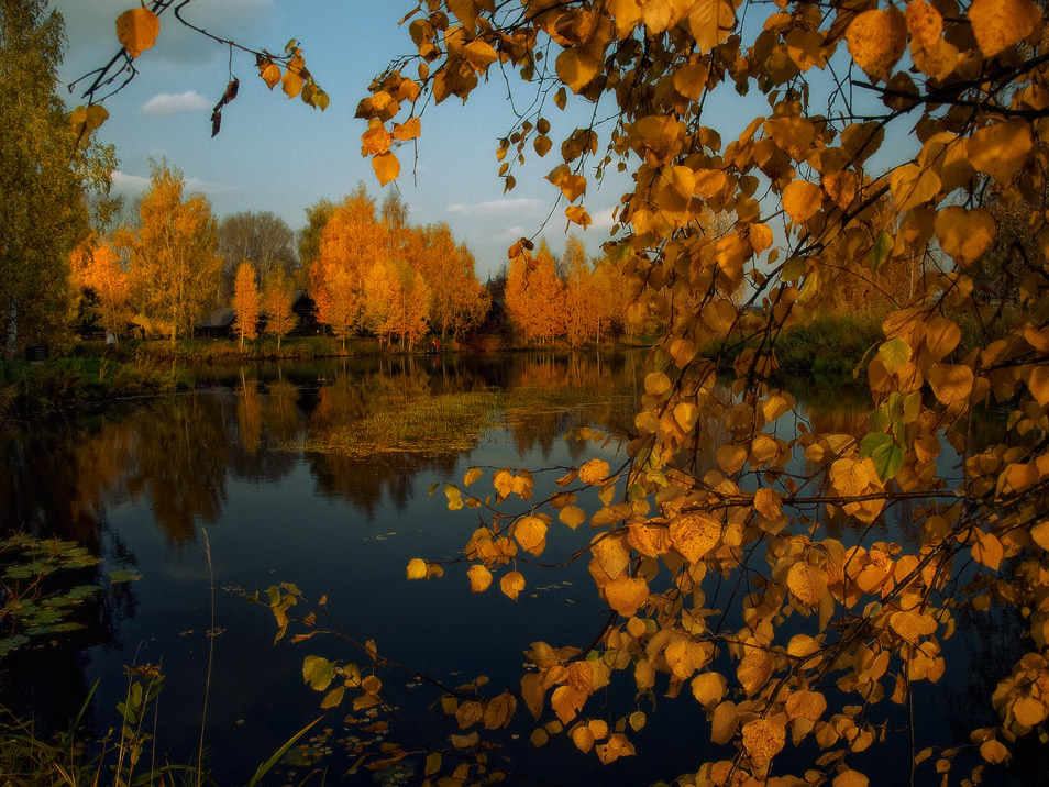 Золотые воспоминания