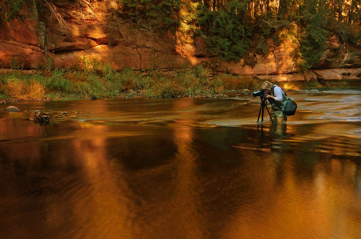 Золото для фотографа