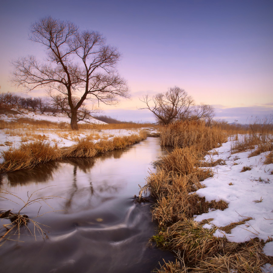 Розовый рассвет