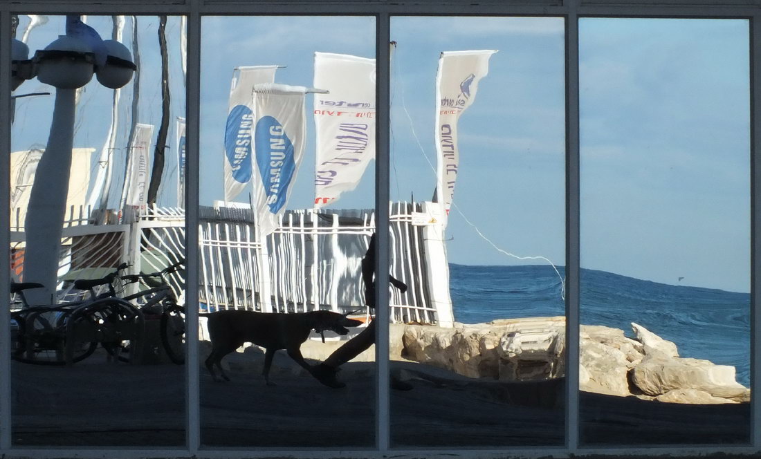 В КЛЕТКЕ(отражения)