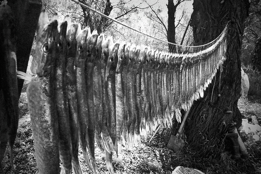 Когда скоро зима