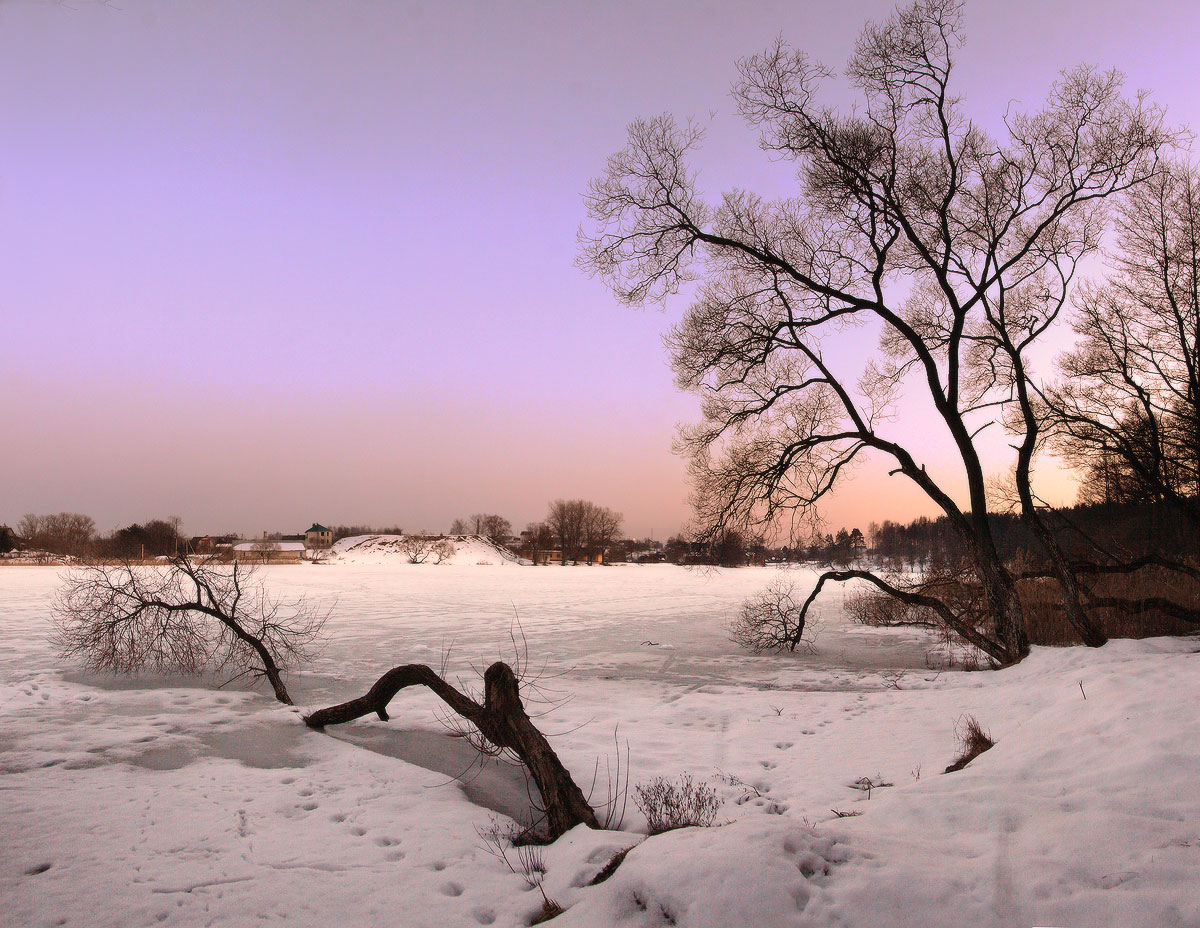 сиреневый вечер