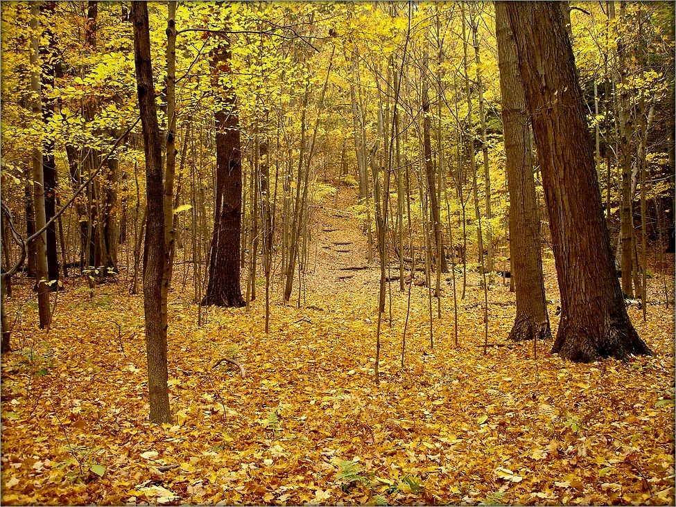 в парке Руж ..3