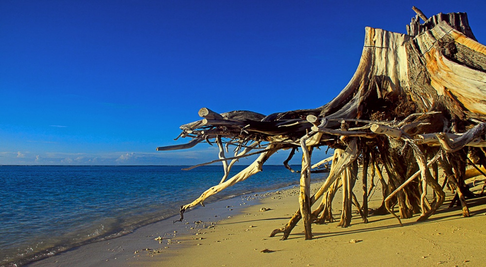 берег острова Бёрд