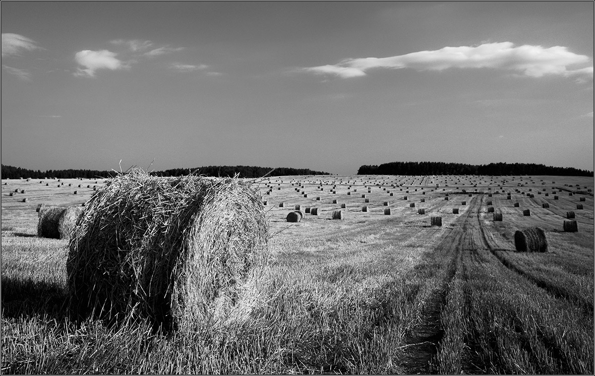 После битвы