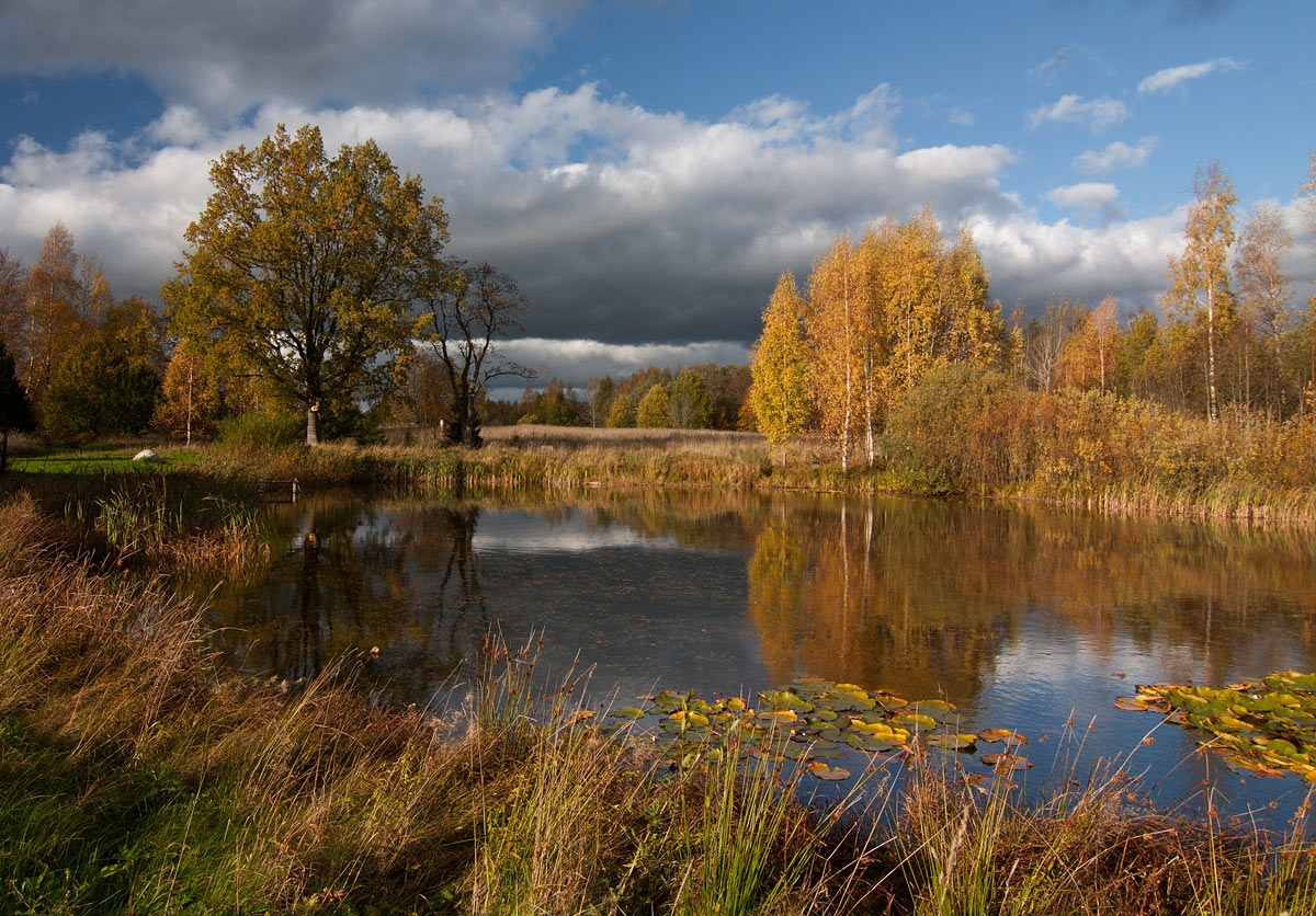 Послесловие к прошедшей осени