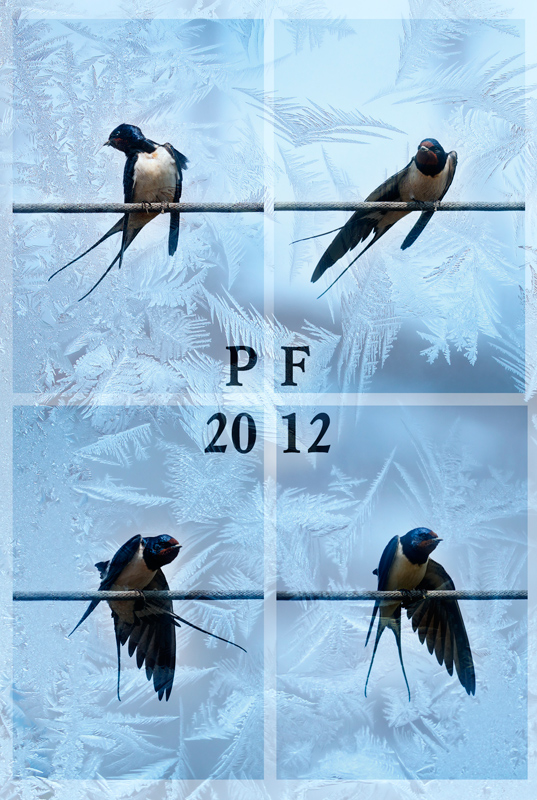 PF 2012