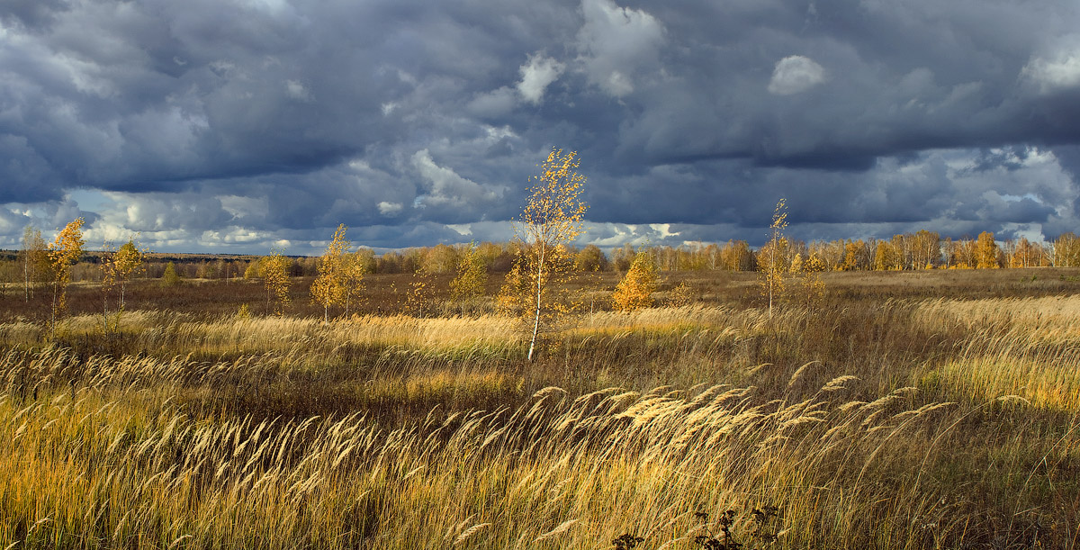 Осенние контрасты