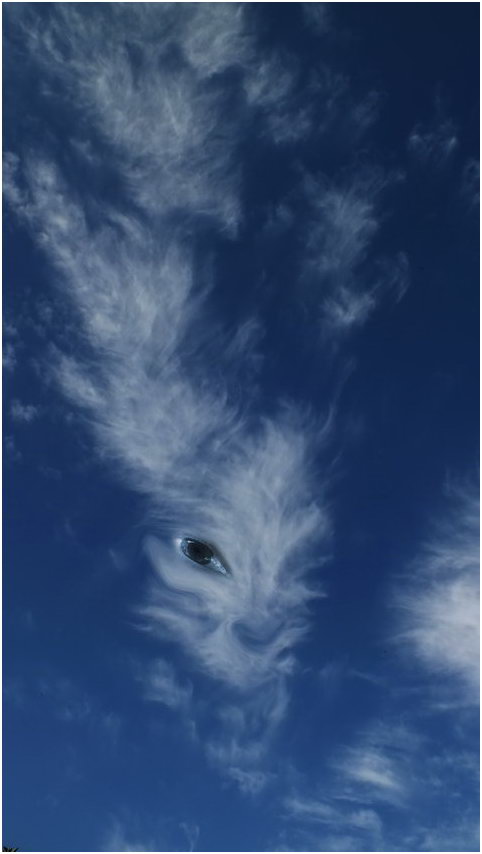 ОДНОБОКИЙ ВЗГЛЯД