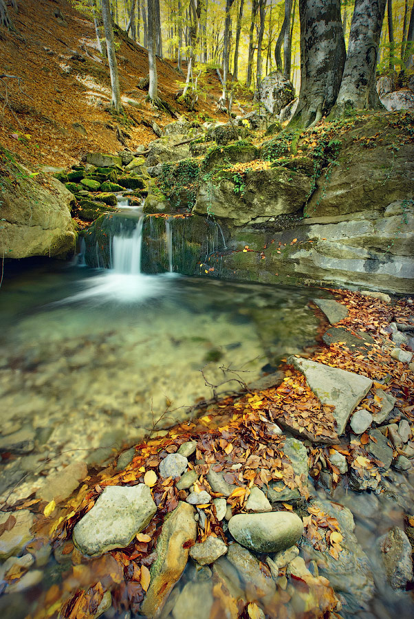 Тихий горный ручей