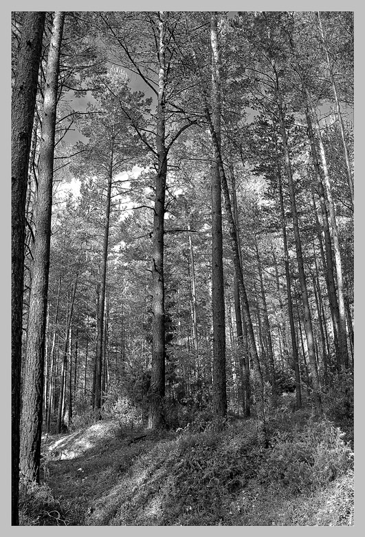 Осенние зарисовки