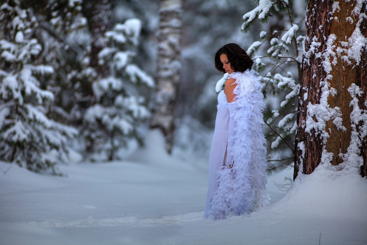 зимняя вишня