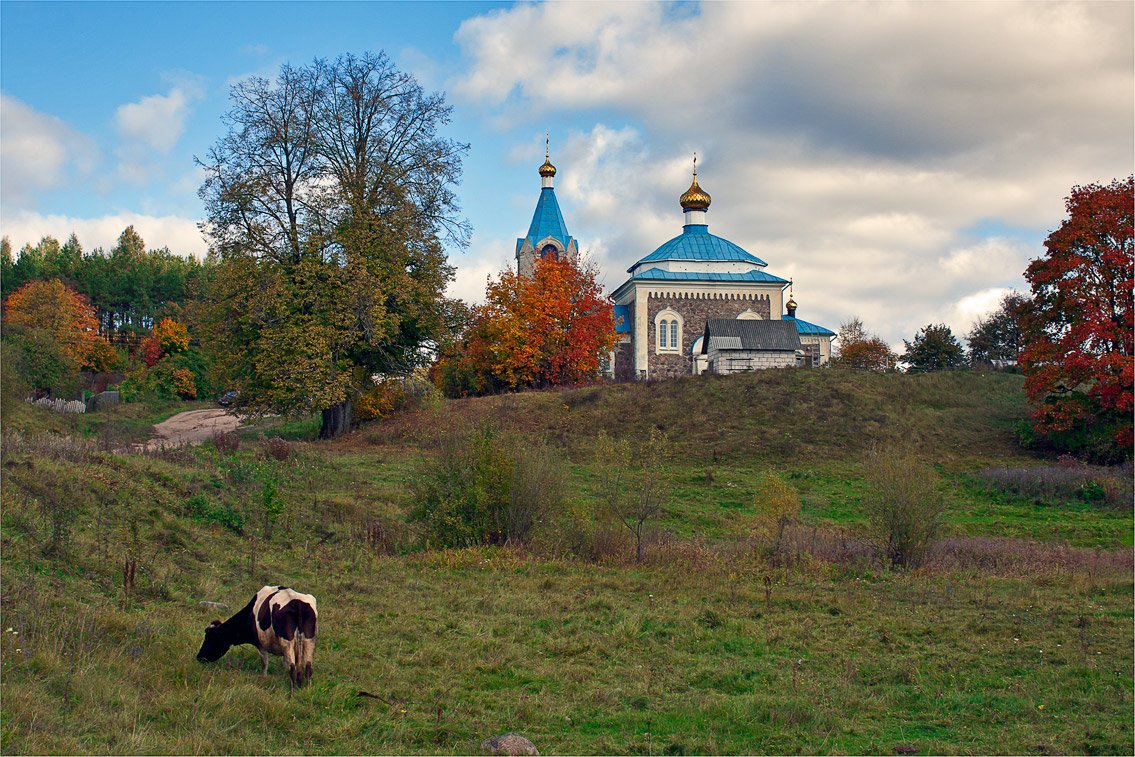 Про бурёнку и не только